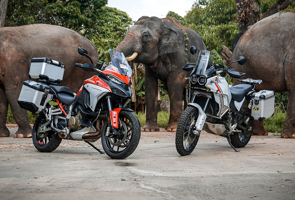menikmati-eksotisme-taman-safari-pakai-ducati-multistrada-v4-s-dan-desert-x