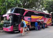 Nekat Angkut Pemudik, 64 Angkutan Transportasi Di Amankan Dishub