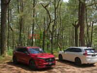 honda-berharap-mobil-hybrid-juga-bisa-bebas-ganjil-genap