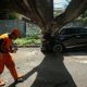 jangan-panik!-kendaraan-rusak-kena-pohon-tumbang,-bisa-dapat-ganti-rugi