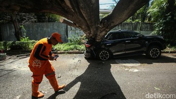jangan-panik!-kendaraan-rusak-kena-pohon-tumbang,-bisa-dapat-ganti-rugi