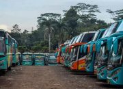 Armada PO Bus Sedikit Bisa Bernafas Dengan Jasa Logistik