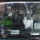 healthcare-bus-bisa-dijadikan-acuan-untuk-transportasi-publik