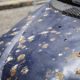 kotoran-burung,-sering-disepelekan-namun-berbahaya-bagi-lapisan-cat-mobil