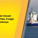 feeder-vessel-:-pengertian,-fungsi,-jenisnya