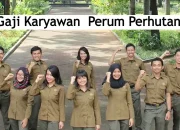 Gaji Perum Perhutani 2024: Gaji Pokok dan Tunjangan