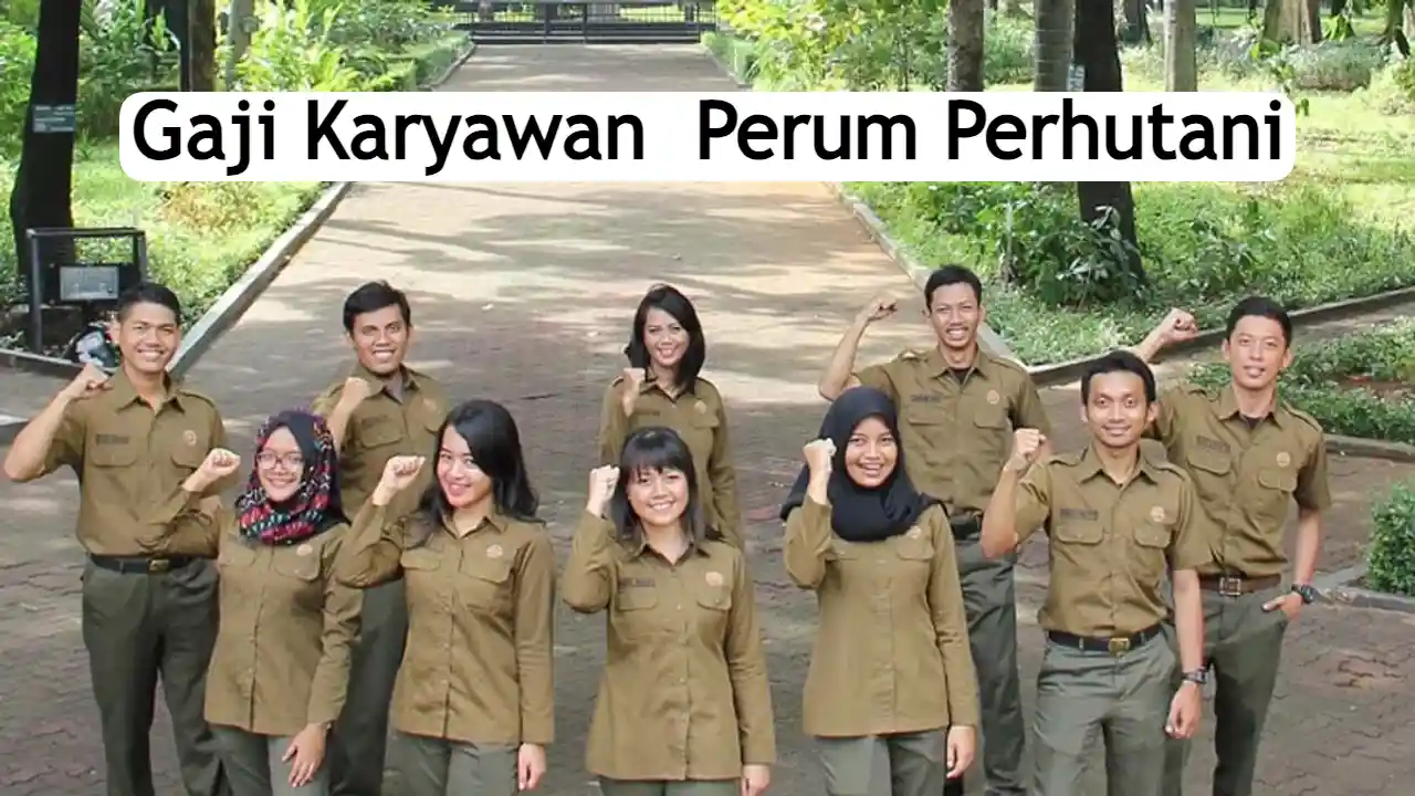 gaji-perum-perhutani-2024:-gaji-pokok-dan-tunjangan
