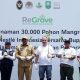 nestle-indonesia-dan-brgm-rehabilitasi-mangrove-di-wilayah-riau