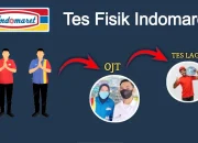 Apa Saja Tes Fisik Indomaret dan yang Perlu Dipersiapkan