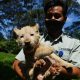 harga-tiket-taman-safari-prigen-libur-lebaran-2024-dan-wahana