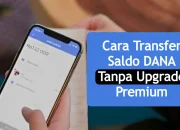 Cara Transfer Saldo DANA Tanpa Upgrade Premium