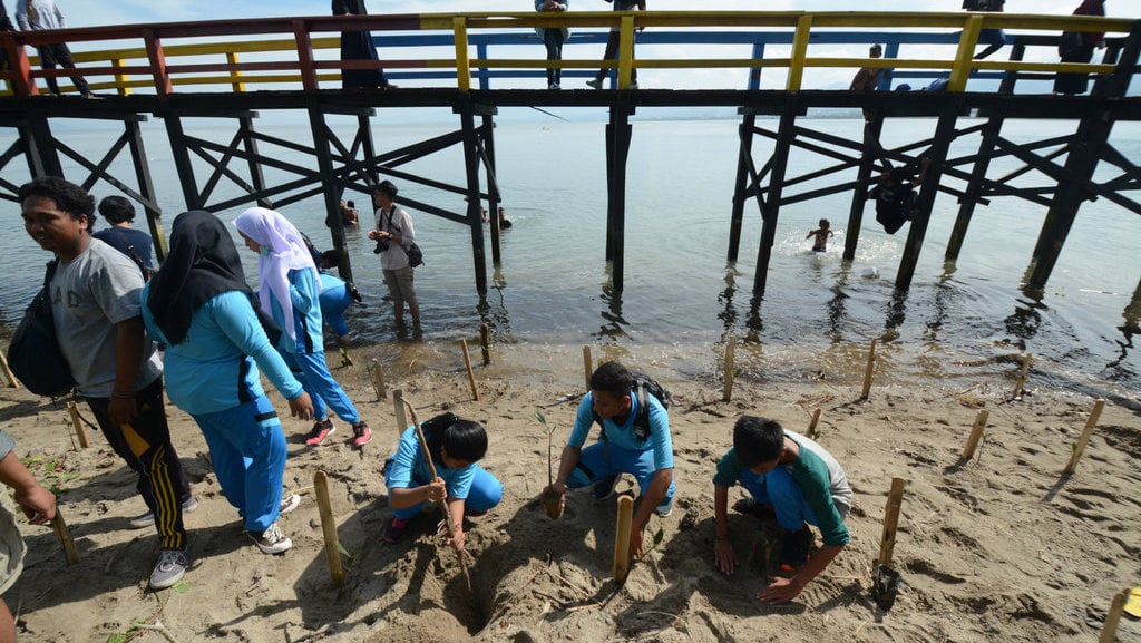 40-ucapan-selamat-hari-bumi-2024-singkat-untuk-earth-day