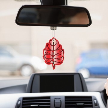 7-bahan-pengharum-mobil-alami-yang-aromanya-nggak-bikin-enek