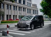 Intip Biaya Pajak Mobil Alphard Sesuai Tipenya