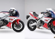 Paket Fairing Yamaha XSR900 GP Baru yang Seharga 1 Motor?