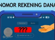 Cara Melihat Nomor Rekening DANA Sendiri Dengan Mudah