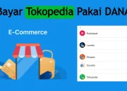 Cara Bayar Tokopedia Pakai DANA, Belanja Jadi Makin Mudah! 