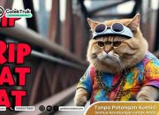Ciri Ciri Lelaki Setia: Rahasia 5 Ciri Pria Setia dan Hubunganya Dengan Kasus Fat Cat Yang Viral!