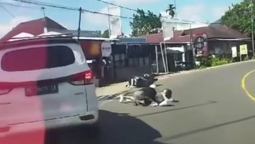 mengungkap-identitas-mobil-putih-yang-tabrak-lari-pemotor-wanita-di-bengkulu