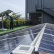 inalum-ingin-budidaya-perikanan-darat-gunakan-energi-mandiri-plts