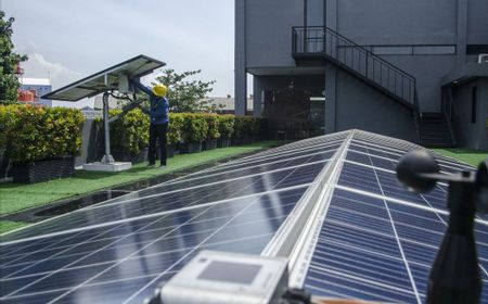 inalum-ingin-budidaya-perikanan-darat-gunakan-energi-mandiri-plts