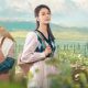 sinopsis-drama-china-hometown-of-stars:-ketika-pemain-cello-jadi-pembuat-anggur