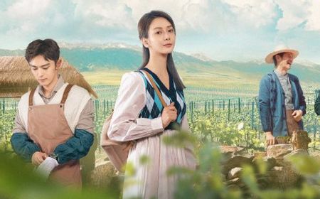 sinopsis-drama-china-hometown-of-stars:-ketika-pemain-cello-jadi-pembuat-anggur