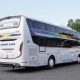 po-sinar-jaya-rilis-sleeper-bus-baru,-kok-ada-yang-aneh
