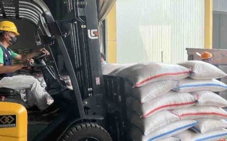 bapanas:-biaya-produksi-jadi-faktor-penyebab-tingginya-harga-gabah-dan-beras