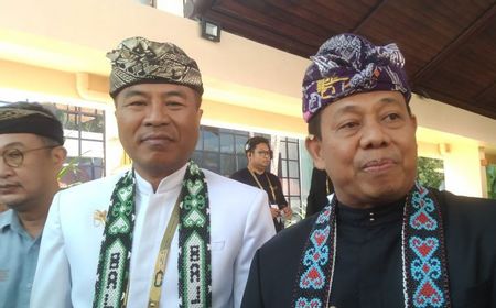 gubernur-bali-ingin-penindakan-wna-nakal-diproses-tuntas