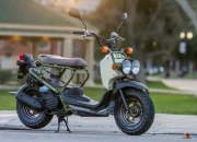 Honda Ruckus : Skutik Mungil 50cc dengan Tampilan Ala Adventure