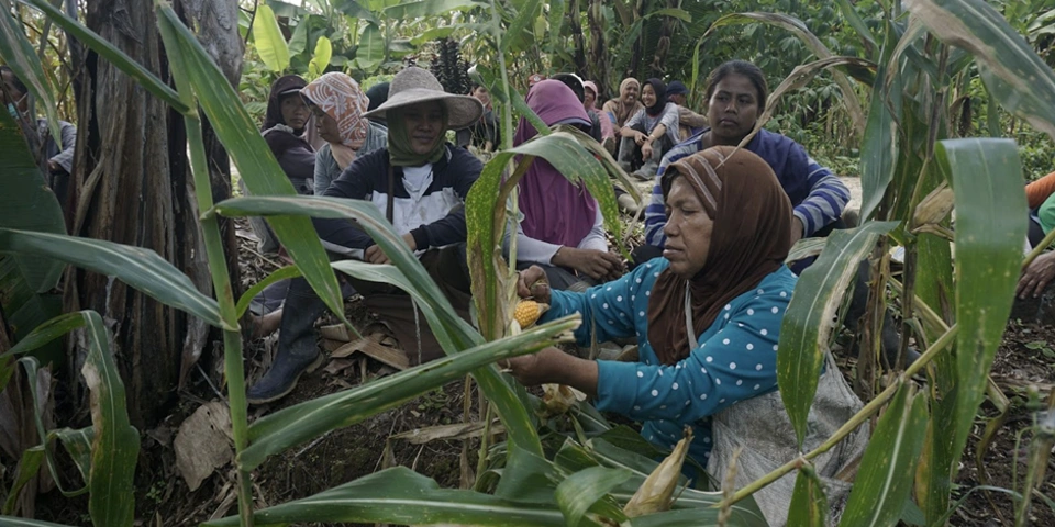 bertahan-adalah-bentuk-cinta-paling-liar,-cerita-perjuangan-perempuan-pakel-pertahankan-tanahnya