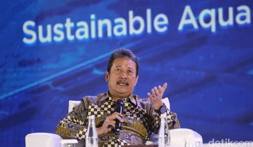 harta-pejabat-terkaya-nomor-tiga-di-ri:-isi-garasinya-audi-mini-cooper