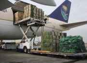 Turunnya Kargo di Bandara Sentani pada Bulan Juni 2024