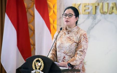 ketika-negara-terlambat,-rakyat-inisiatif-sendiri,-puan:-no-viral-no-justice