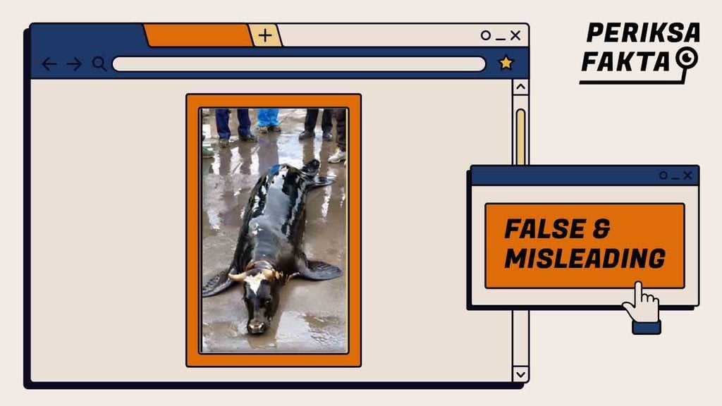 salah,-penampakan-anjing-laut-berkepala-sapi-di-bangkalan
