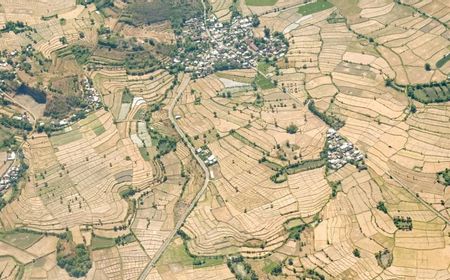 ntb-mulai-mengalami-kekeringan