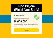 Review Pinjol Neo Bank, Pinjaman Tunai KTP hingga 25 Juta