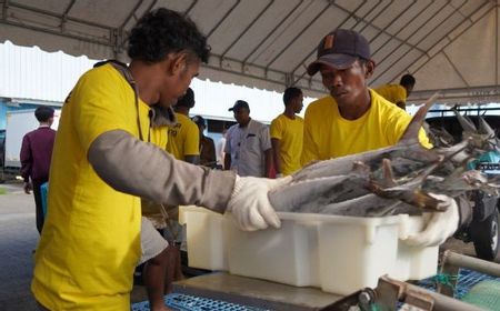 kkp:-impor-produk-perikanan-ri-dalam-tren-menurun