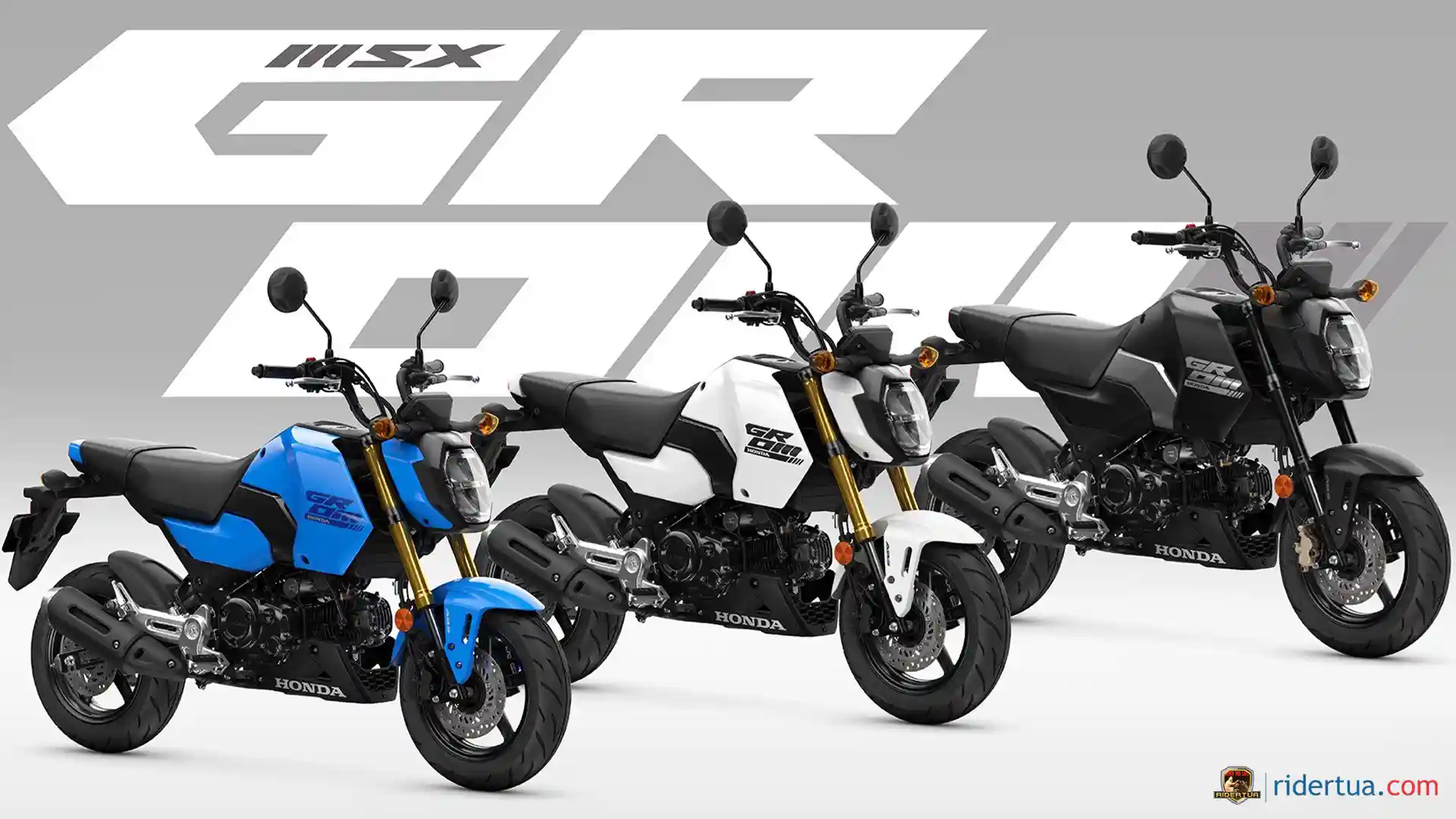 honda-msx125-grom-:-motor-mungil-ini-makin-sporty-dengan-pembaruan-model