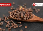 Cara Ekspor Cengkeh dan Syarat Ketentuannya!