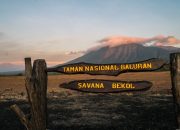 Mengenal Taman Nasional Baluran: Africa Van Java di Indonesia