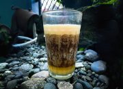 Teh Talua: Minuman Khas Sumatra Barat yang Unik dan Lezat