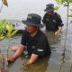 mangrove-di-muaragembong,-upaya-nyata-bri-lawan-perubahan-iklim