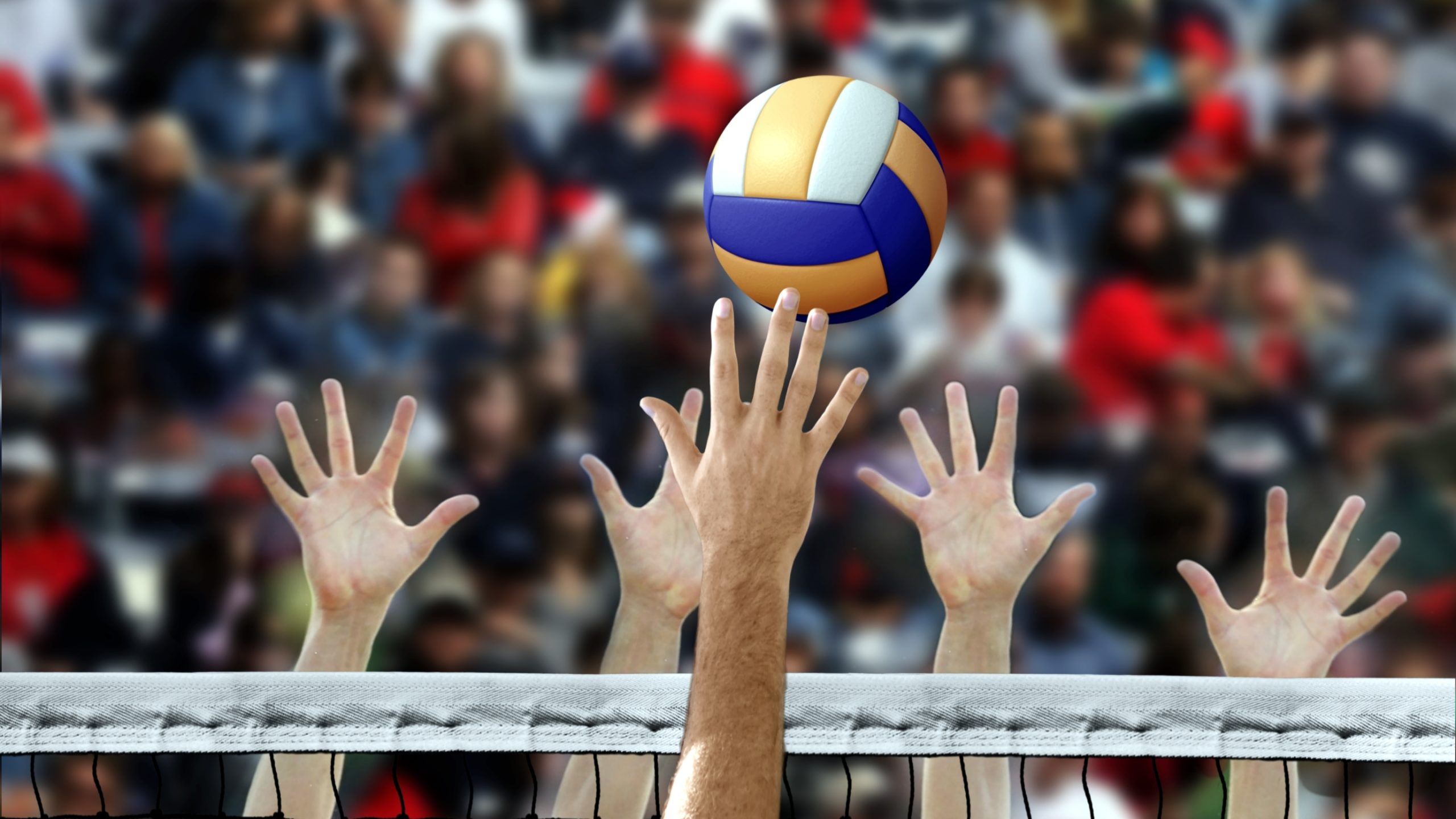 live-streaming-voli-avc-u20-2024-indonesia-vs-jepang-&-klasemen