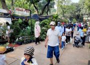 Berburu Koleksi Tanaman Hias di Flona 2024