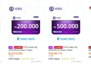 Cara Pinjam Uang di Lazada untuk Pemula (Paylater & LazBon)