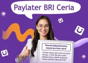 Fitur Baru BRI Ceria Paylater, Limit Hingga Rp20 Juta