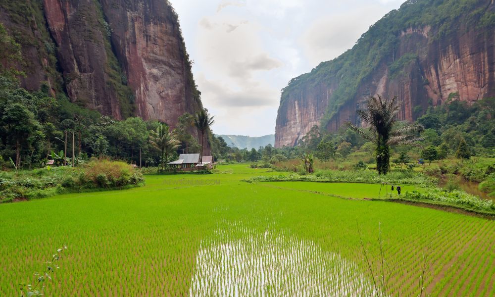 menelusuri-lembah-harau-yang-keindahan-alamnya-mirip-konohagakure