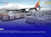 Ketahui 4 Resiko Pengiriman Barang via Udara yang Sering Terjadi!